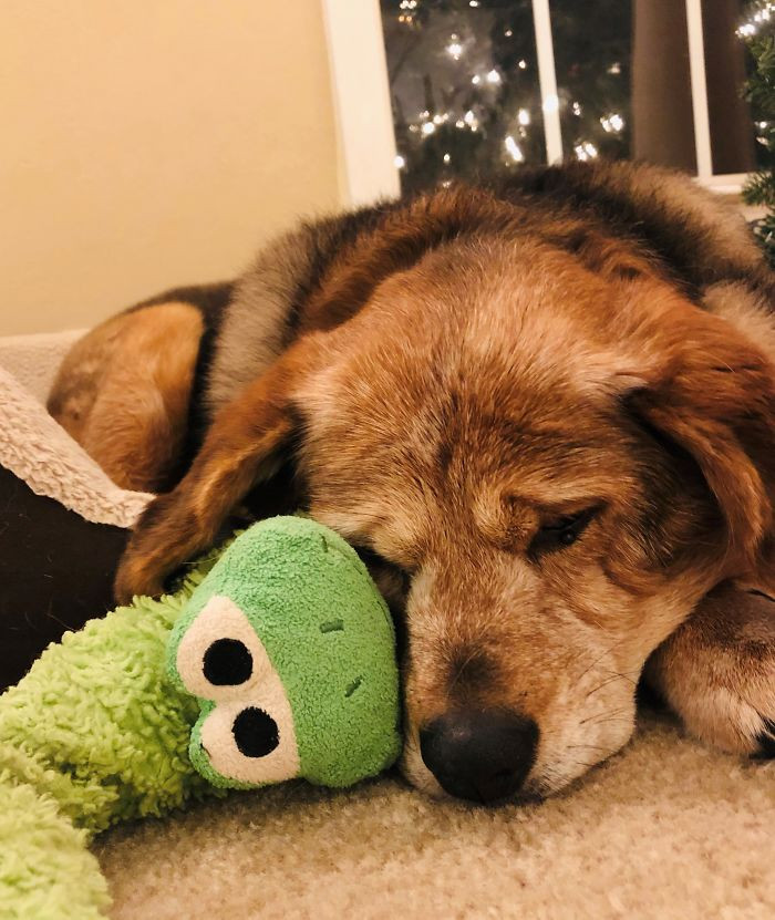 2. "Almost 18 Years Old And Still Sleeping With The Toy Frog She’s Had For 14 Years"