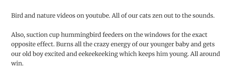 45. Cat Netflix: one channel for meditation, one for chaos.