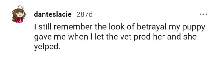 5. The look of betrayal my pup gave me