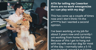 Online Community Criticizes A Man Who Would Rather Play Fetch With His Dog Than Help Out A Coworker Progress His Task