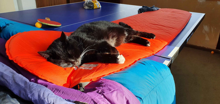 Relief That the Intruder Is Gone