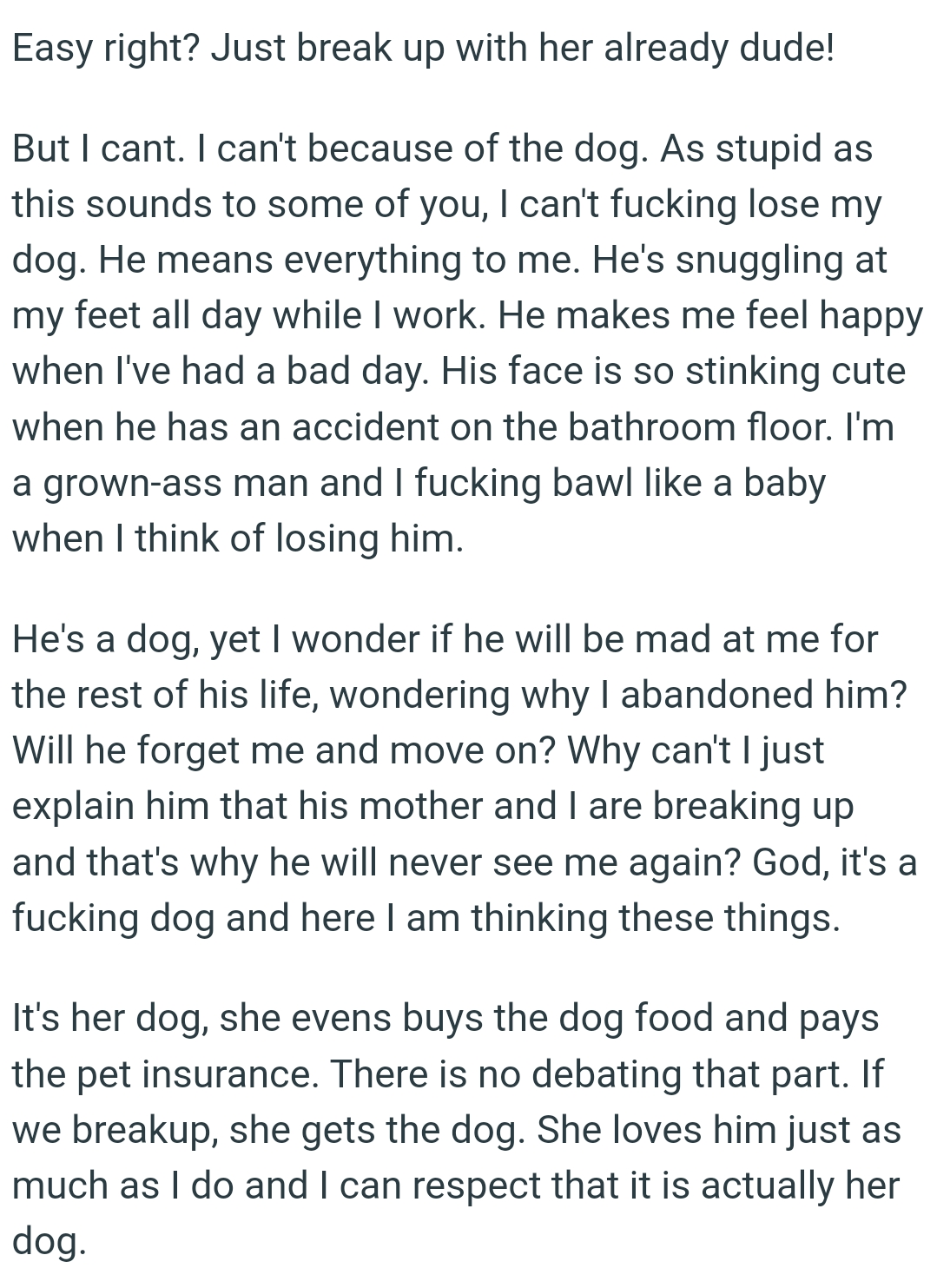 The dog's face is so stinking cute when he has an accident on the bathroom floor