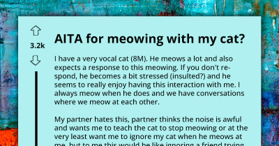 Man Meows Back at His Cat, and They Have a Meowing Conversation, but His Partner Considers Him an AH for It