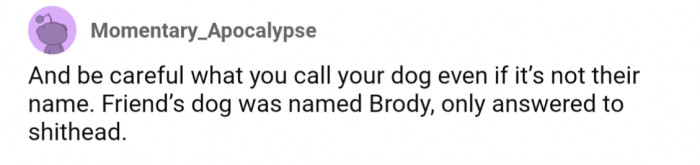 6. Legal name vs nickname