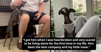 Sweet Dog Loves Nothing More Than Cheering Up People On The Subway