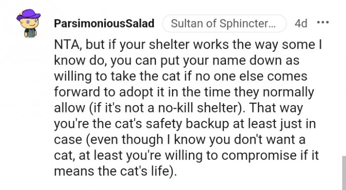 You're the cat's safety backup, at least just in case