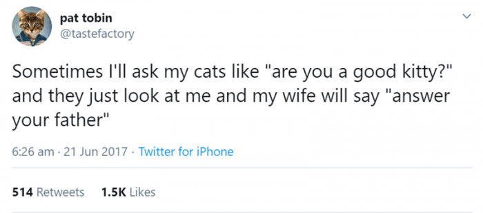 6. Do your cats wait for your wife's line every time before they answer?