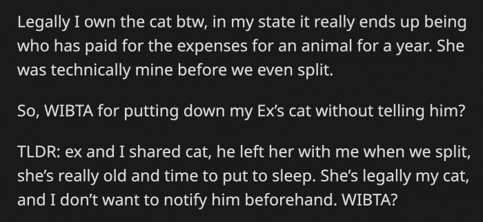 OP is in the clear with the cat's ownership legally and can make medical decisions for her even without telling the ex. OP wonders if she will be an a**hole if she follows through with her plan without letting her ex know.