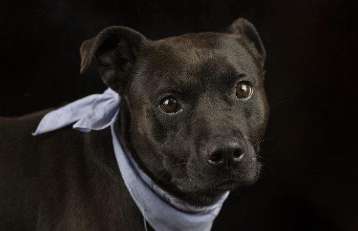 So She Combined Her Two Passions