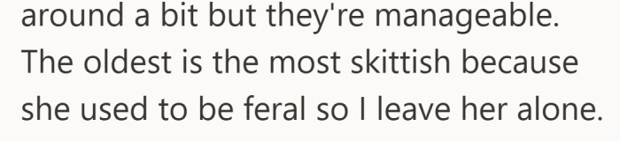 While the younger cats are manageable, the oldest is too skittish for nail trimming.