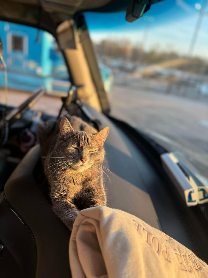 "Lola Is A Truck Driver!! She Is 11 Years Old."