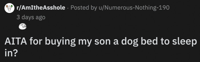 OP bought a large dog bed for his son to use