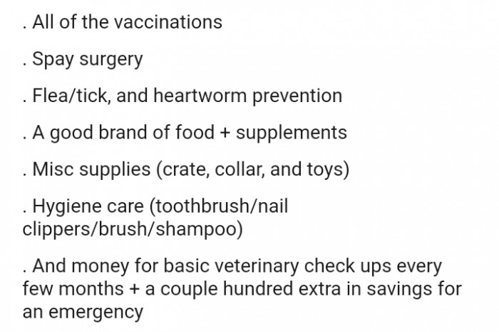 What I made sure to buy