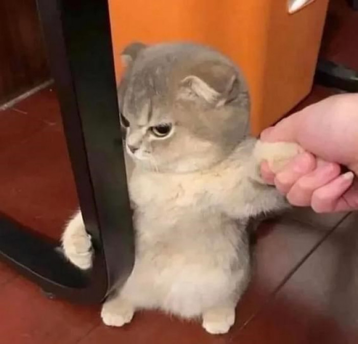 4. Leave me alone, I'm not going anywhere with you