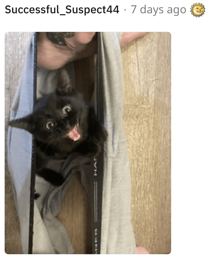 12. Having fun, right?