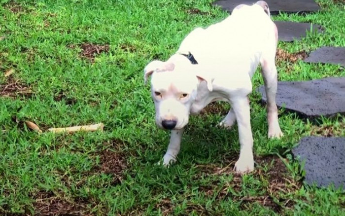 Heather did everything in her power to let him know he mattered