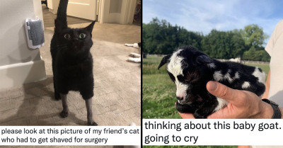 Good And Wholesome Social Media Posts Perfect For Brightening Up Your Day