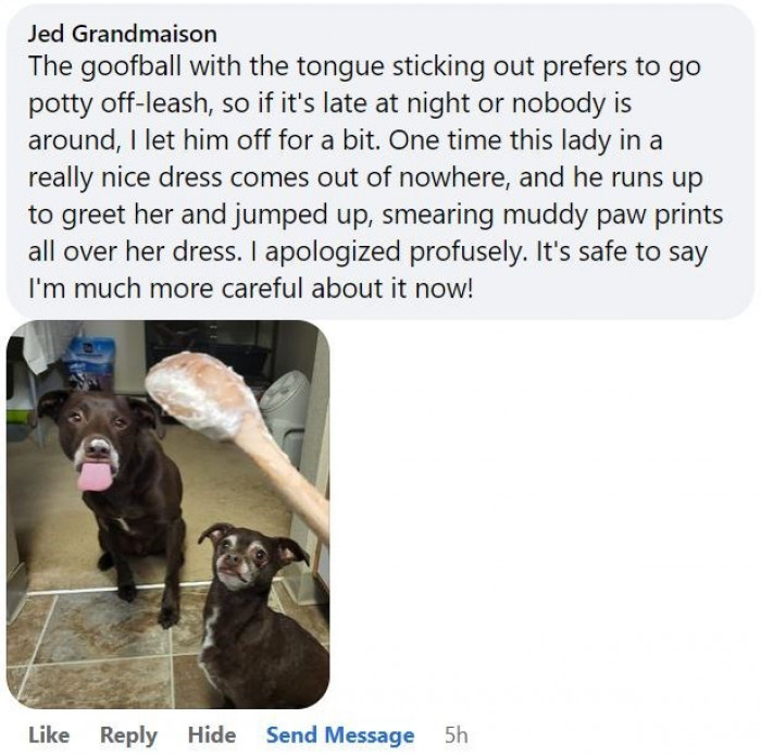 6. “Potty time with a leash is no fun.”