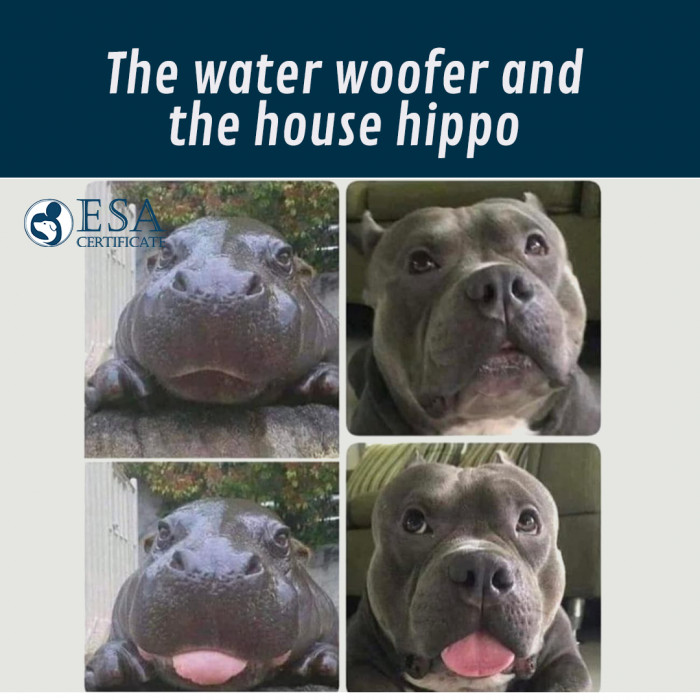 9. They must be related