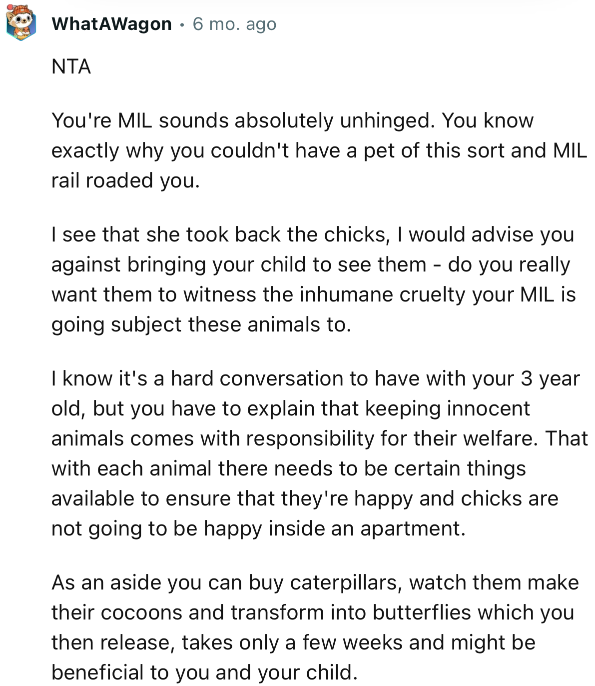 “Your MIL sounds absolutely unhinged. You know exactly why you couldn't have a pet of this sort, and MIL railroaded you.”