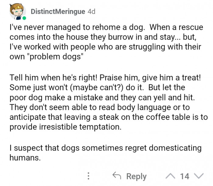 #18 Poor dogs might be thinking why humans are hurtful.