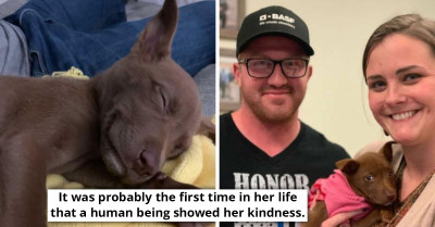 Smol Pupper Shows Her Appreciation Through Her Heart-Melting Smile After Rescuers Saved Her From The Streets