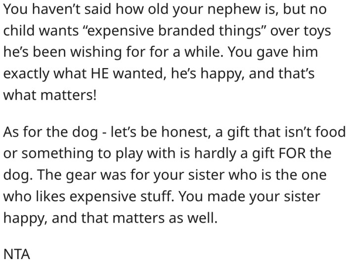 11. What matters most is that her nephew loved his gift.