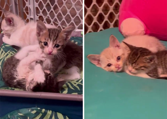 “I want people to know that no matter how much bad you see in the world, there’s still a lot of people doing good things and not doing it for recognition,” Robert said.