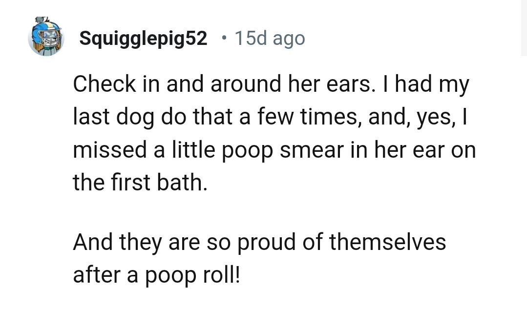 We've Gathered Some of the Most Upvoted Comments from Other Redditors for You to Read Through Below