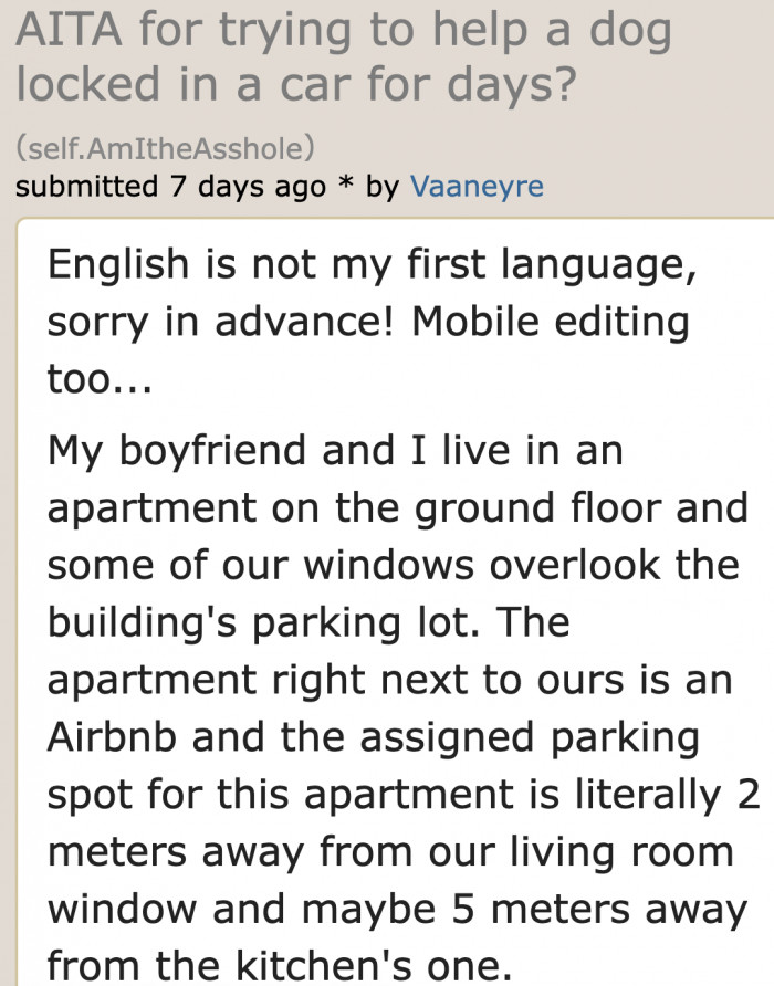 The OP Explains How She Was Able to See the Dog Being Left in the Car.