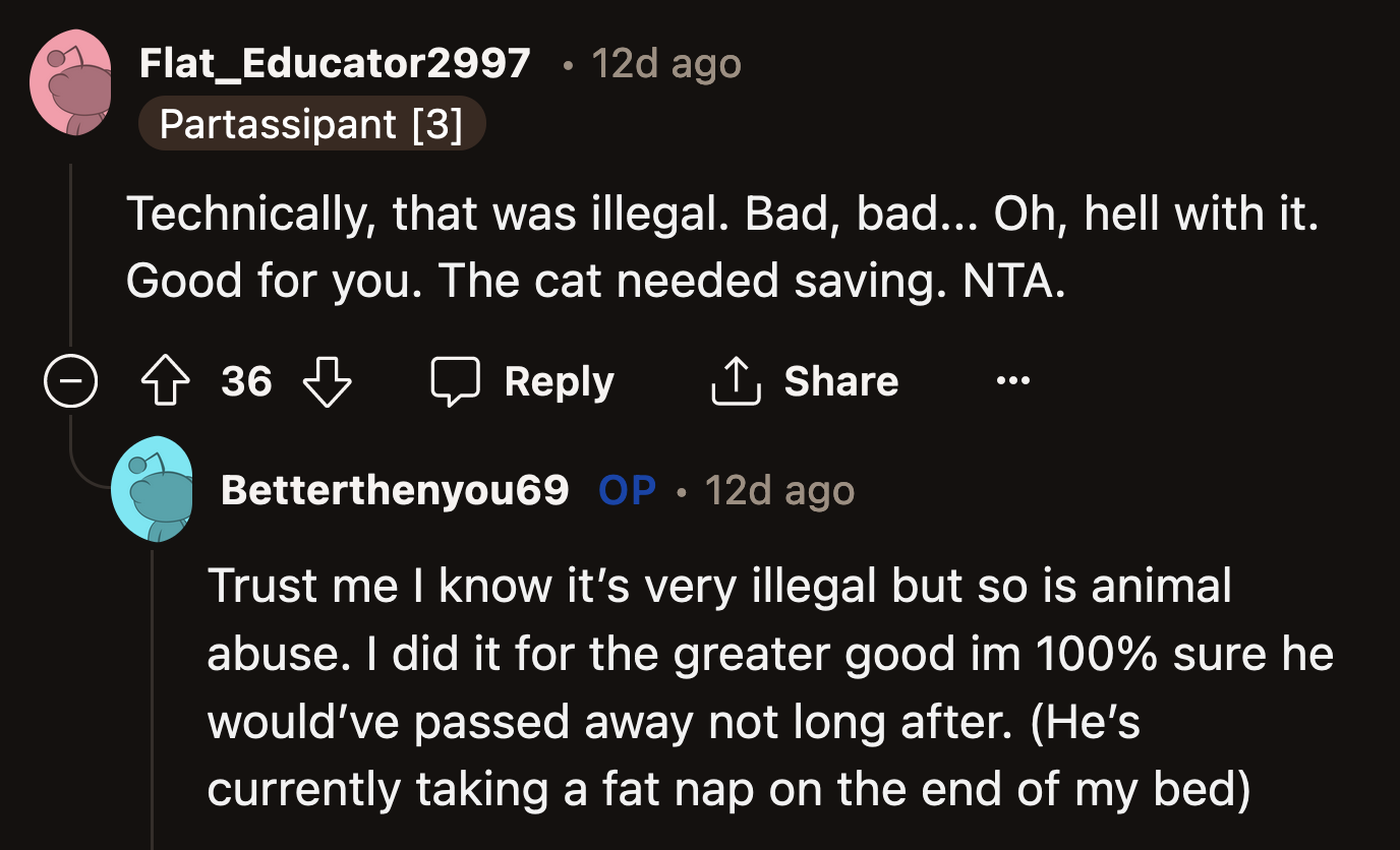 The cat was in immediate danger. It wouldn't have survived long under those conditions.