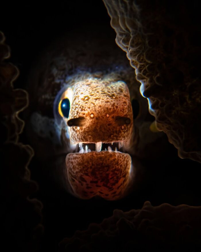 1st Place Female Fifty Fathoms Award 2024 - Ipah Uid Lynn