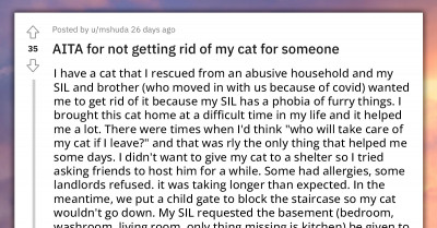 Redditor Refuses To Get Rid Of Her Rescue Cat Because Her SIL Has A Phobia For Furry Things, Gets Accused Of Maltreatment