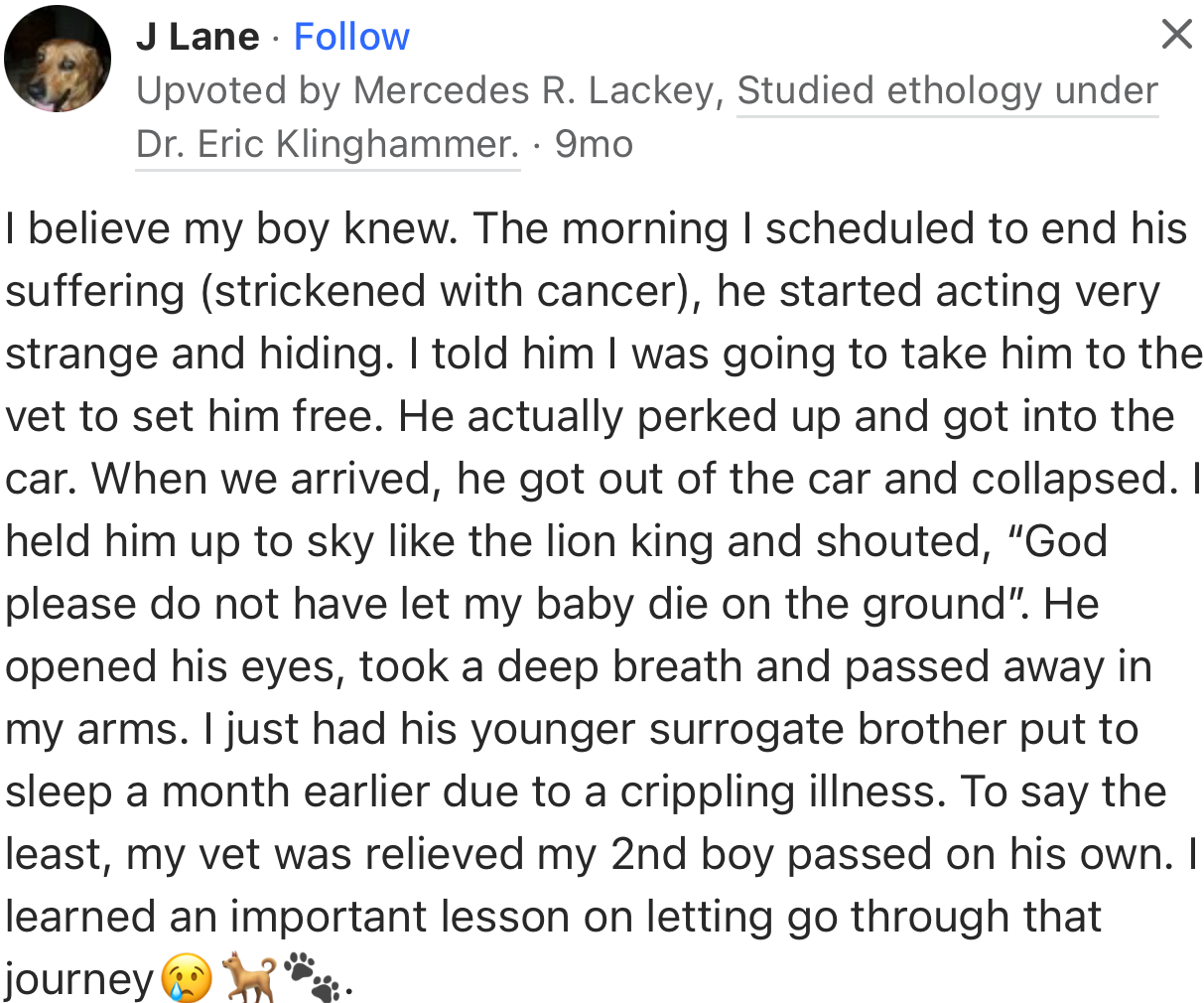 “I believe my boy knew. The morning I scheduled to end his suffering (stricken with cancer), he started acting very strangely and hiding.”