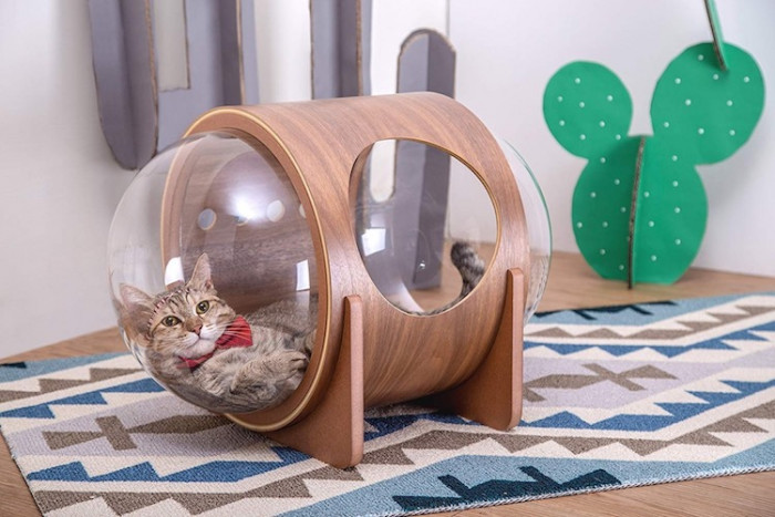 Looking so adorable in the best spaceship bed ever
