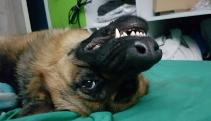 18. “Oh, you are awake, morning dad. Like my smile?”