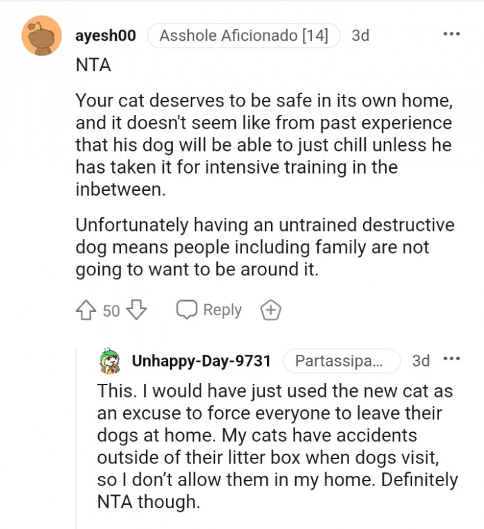 Your Cat Deserves to Be Safe in Its Home