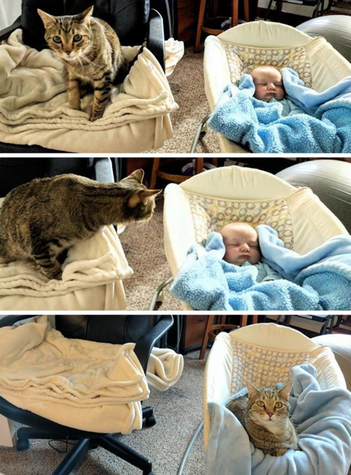 8. What do you mean I'm not the baby here anymore?