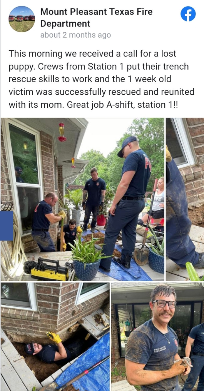 Thankfully, the Rescue Operation Proved Triumphant, Reuniting the Young Dog with Its Mother