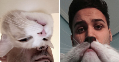 Twitter Users Are Sharing Selfies of Their Cats Photo-Bombing Them, and They Are All Adorable
