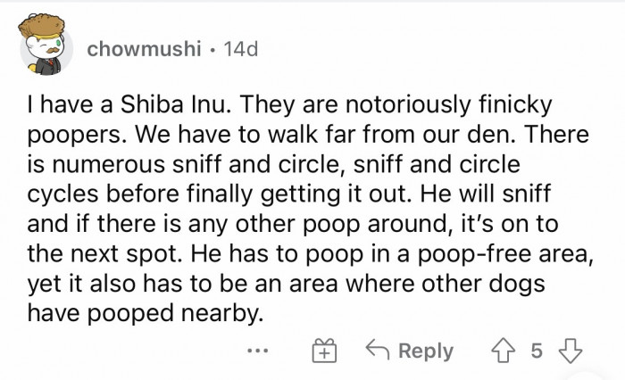 #20 "He has to poop in a poop-free area, yet it also has to be an area where other dogs have pooped nearby."