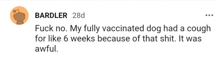This Redditor's fully vaccinated dog still had a cough