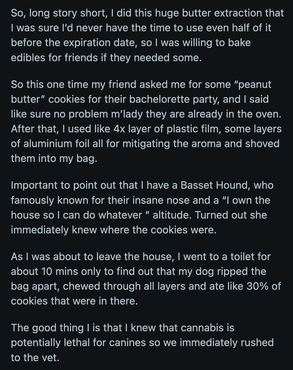 The vet was amused when he saw the dog's red eyes.