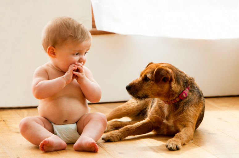 Most people wouldn't trust dogs around a newborn, including those that don't have a history of aggression.