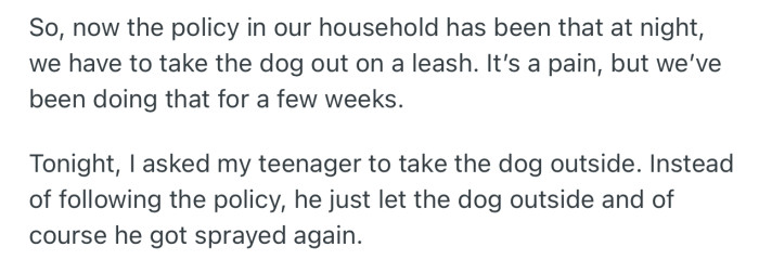 The dog got sprayed again due to OP’s son’s carelessness