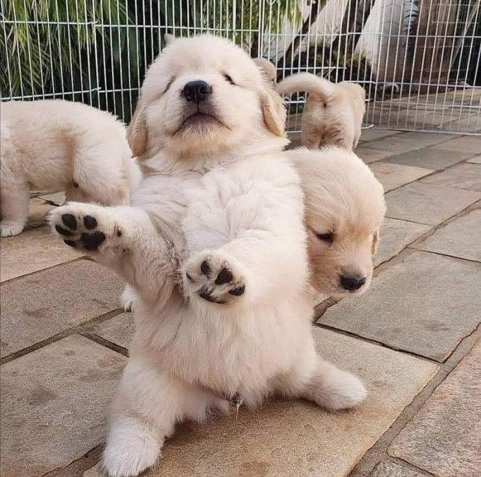 24. And that is how you make a proper move