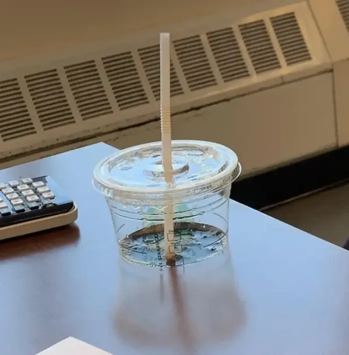 21 Photos That Are Hard To Decipher As They Will Challenge Your Eyes