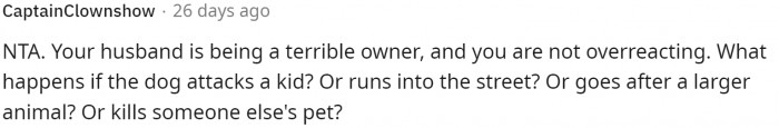 You just can't risk the dog attacking anyone or another animal.