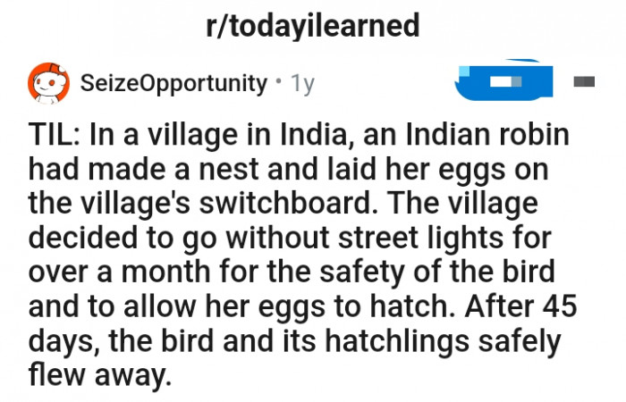 This Redditor discloses what they found out to the TodayILearned subreddit community
