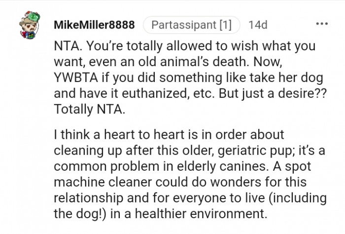 It is a common problem in elderly dogs